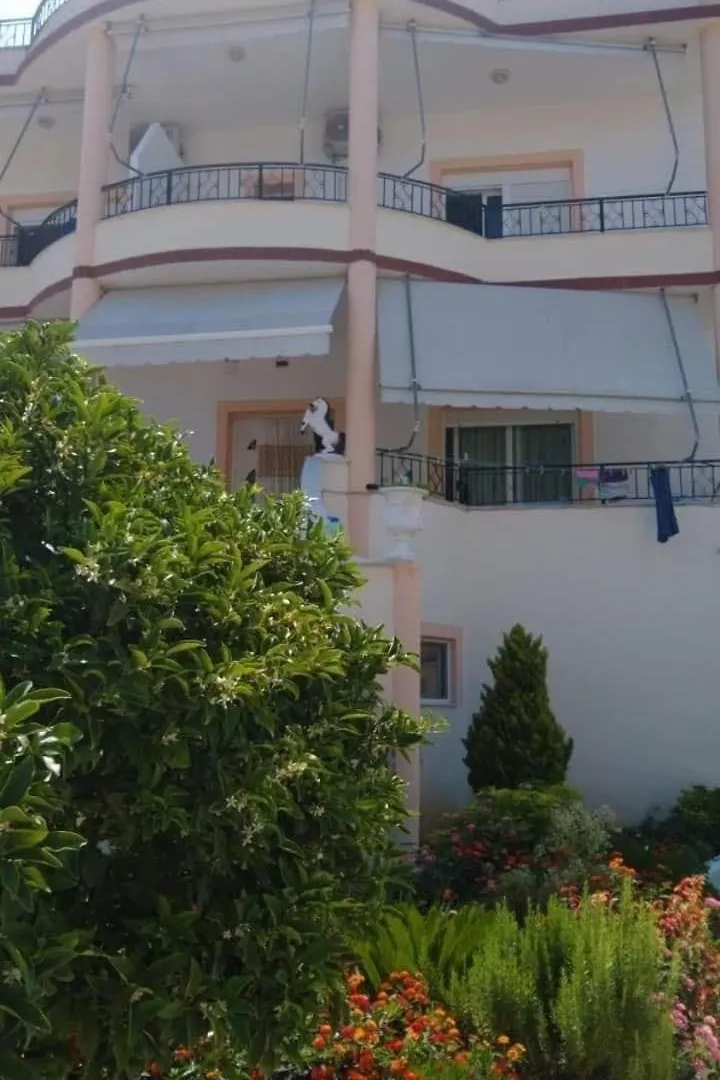 Apartments Rudi Orikum Albania